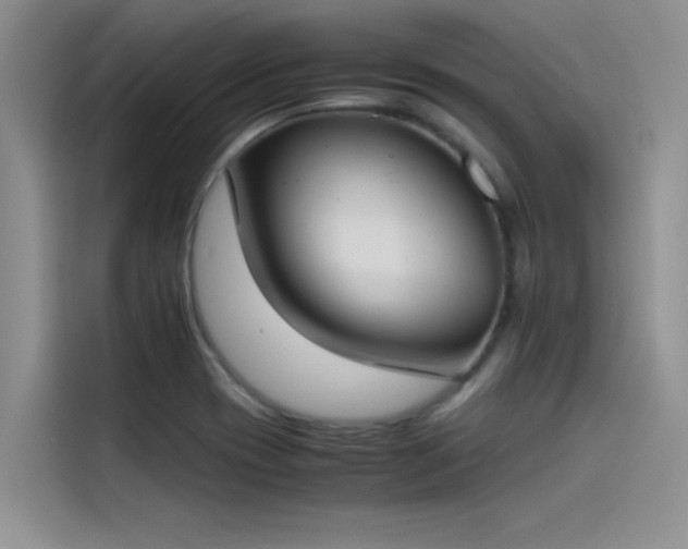 X0000115501417200911131312