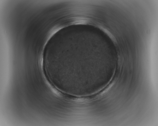 X0000115501418200911131312