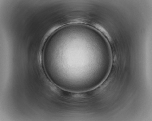 X0000115501419200911131312