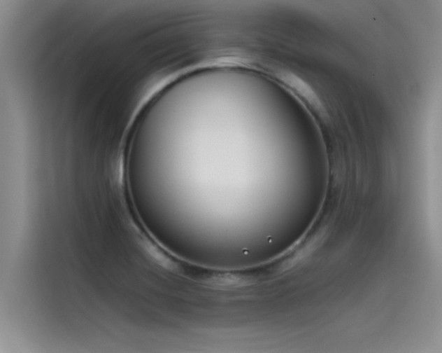 X0000115501420200911131312