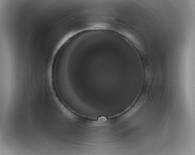 X0000115501422200911131312