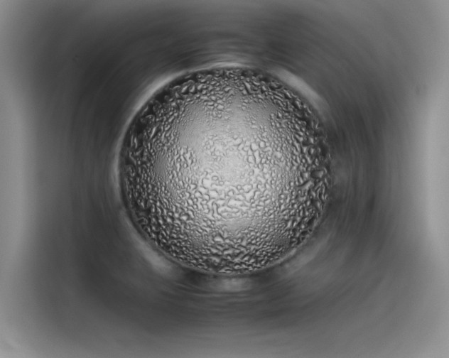X0000115501423200911131312