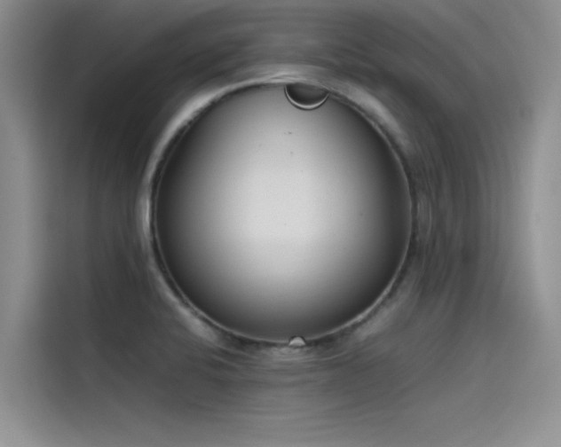 X0000115501424200911131312