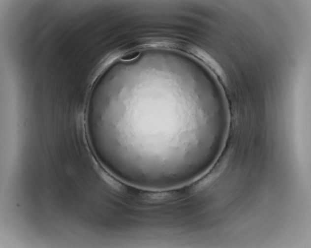 X0000115501425200911131312