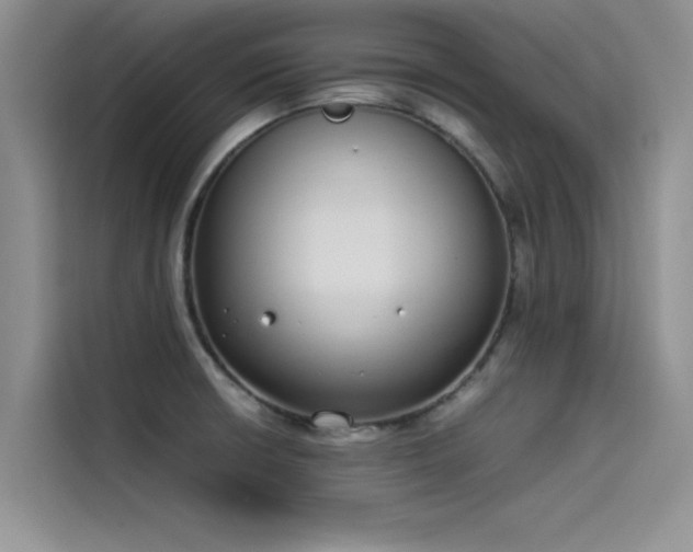 X0000115501426200911131312