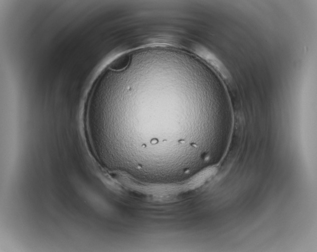 X0000115501427200911131312