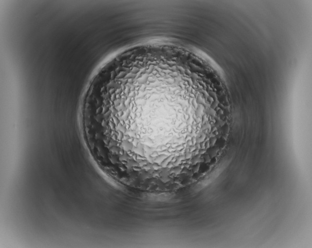 X0000115501429200911131312