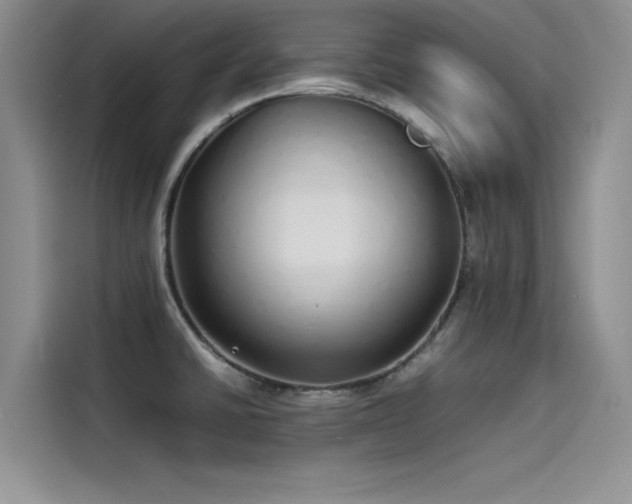 X0000115501430200911131312