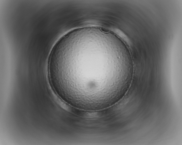 X0000115501431200911131312
