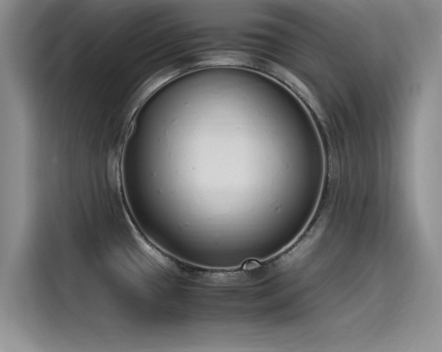 X0000115501433200911131312