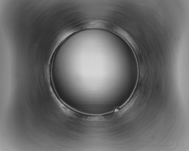 X0000115501434200911131312