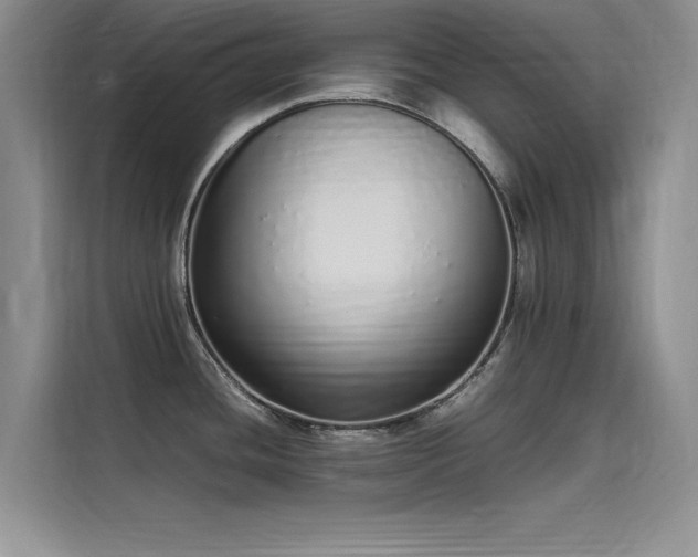 X0000115501436200911131312
