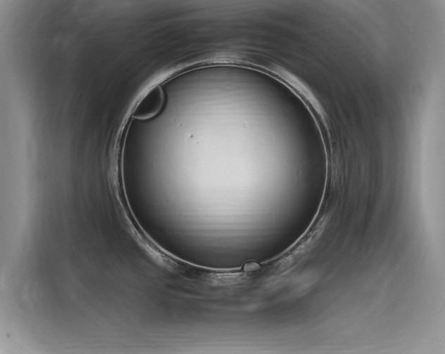 X0000115501437200911131312