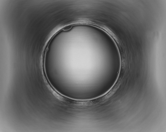 X0000115501438200911131312