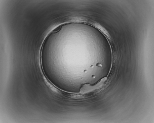 X0000115501439200911131312