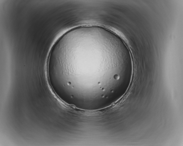 X0000115501440200911131312