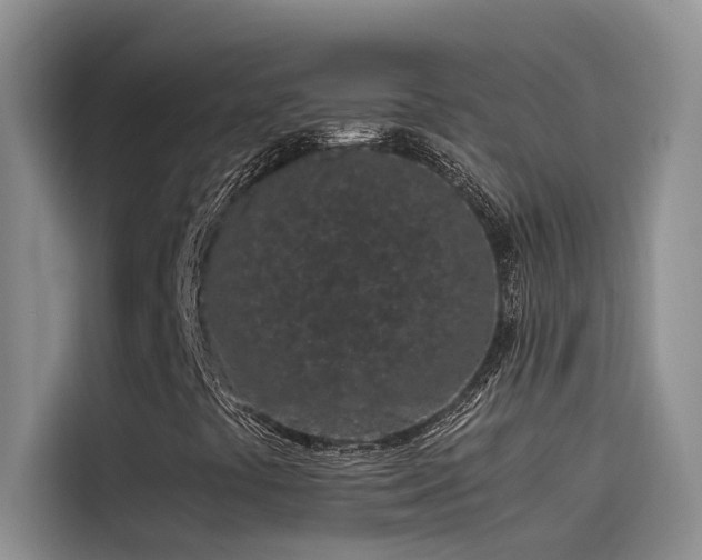 X0000115501441200911131311