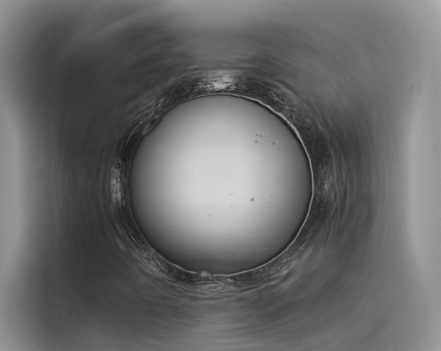 X0000115501442200911131311