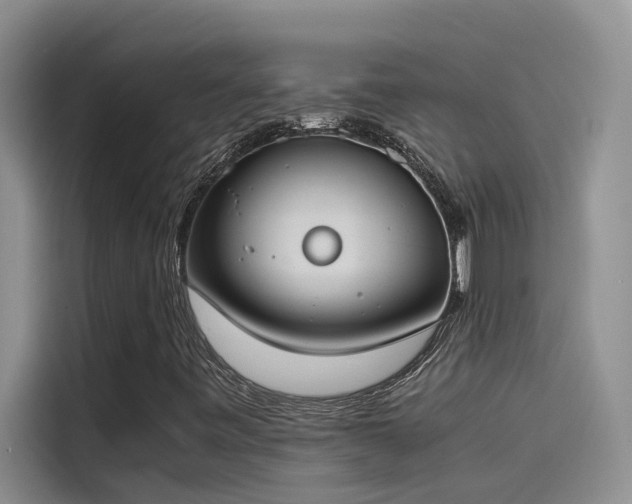 X0000115501443200911131311
