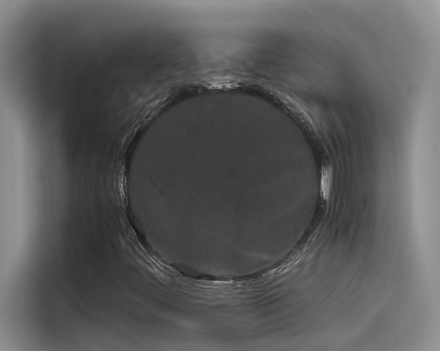 X0000115501444200911131311