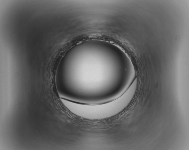 X0000115501445200911131311