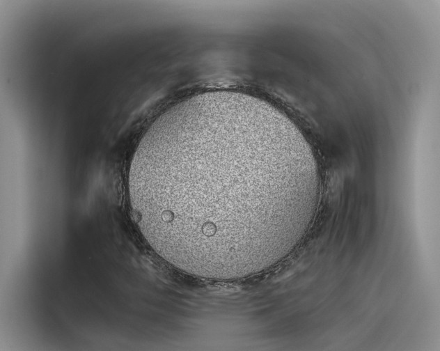 X0000115501446200911131311