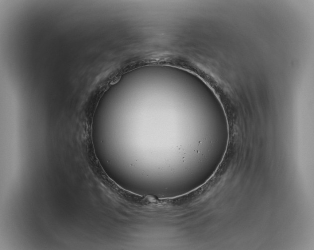 X0000115501447200911131311