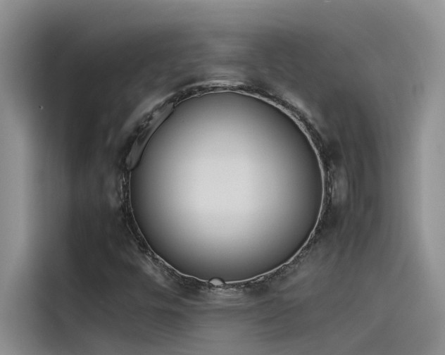 X0000115501448200911131311