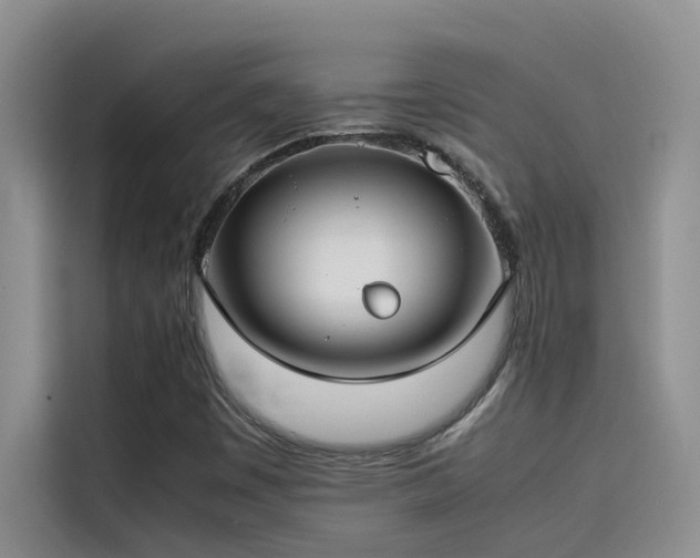 X0000115501449200911131311