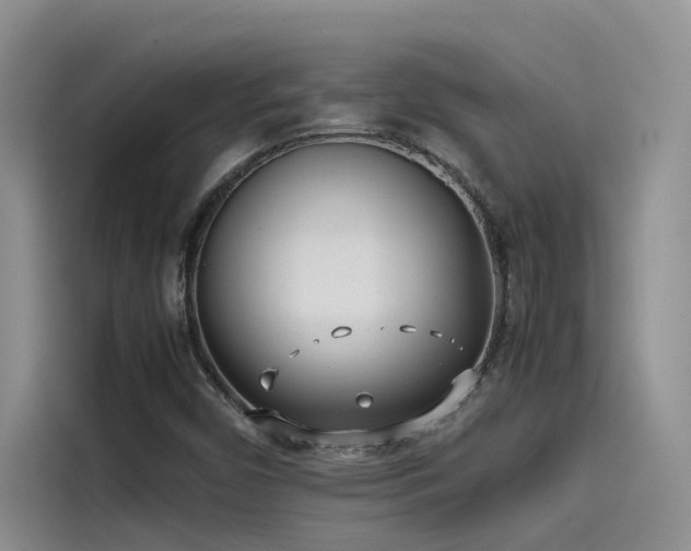 X0000115501450200911131311