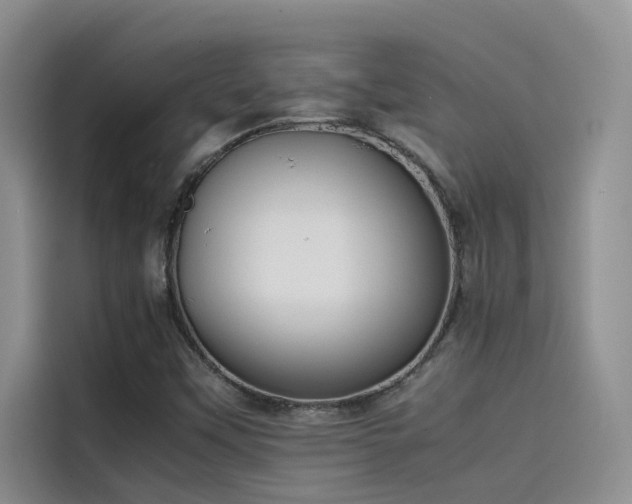 X0000115501451200911131311