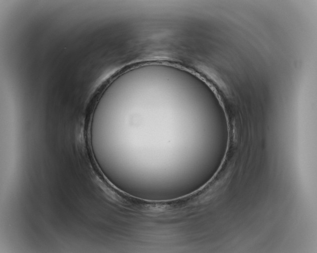 X0000115501452200911131311