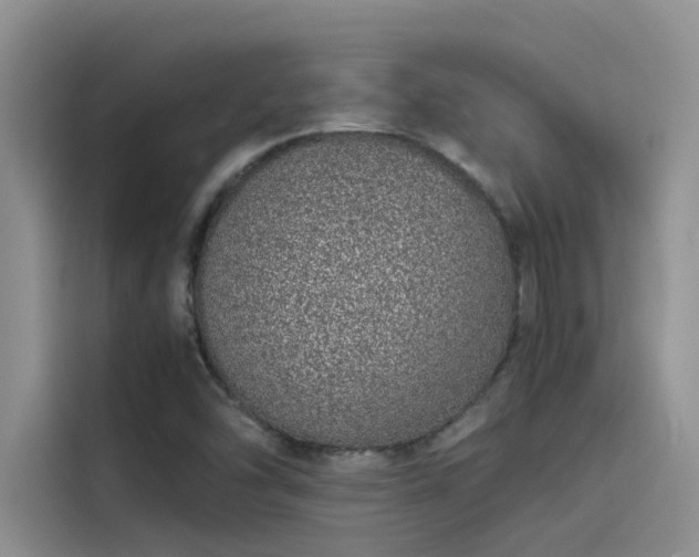 X0000115501454200911131311