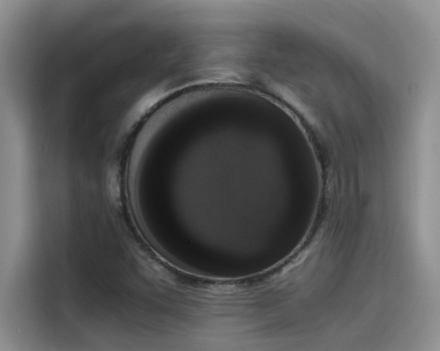 X0000115501455200911131311