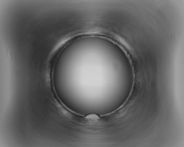 X0000115501456200911131311