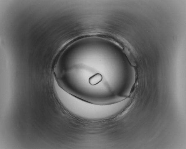 X0000115501457200911131311