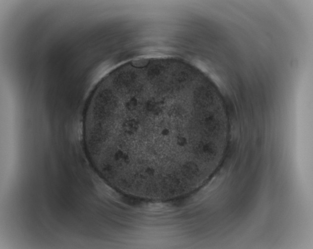 X0000115501459200911131311