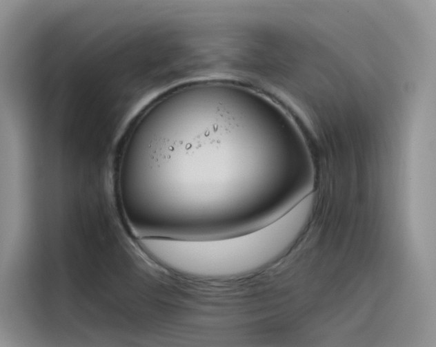 X0000115501460200911131311