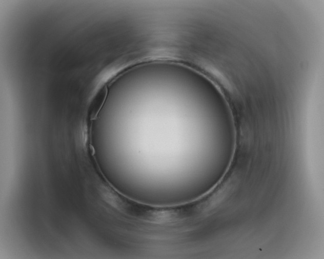 X0000115501461200911131311