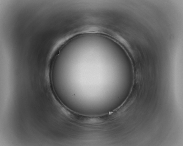 X0000115501464200911131311