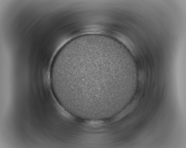 X0000115501466200911131311