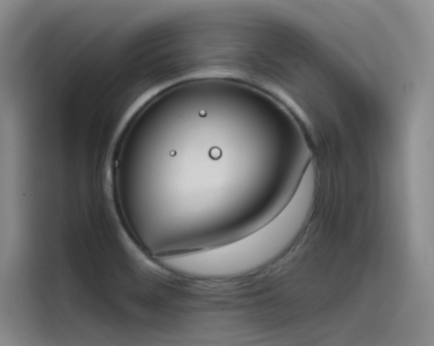 X0000115501468200911131311