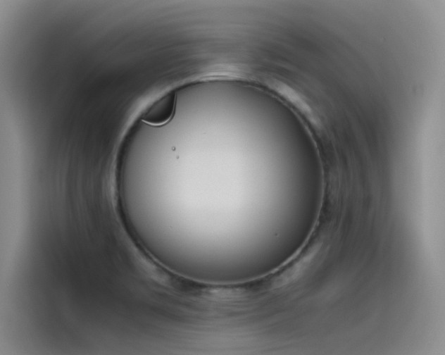 X0000115501469200911131311