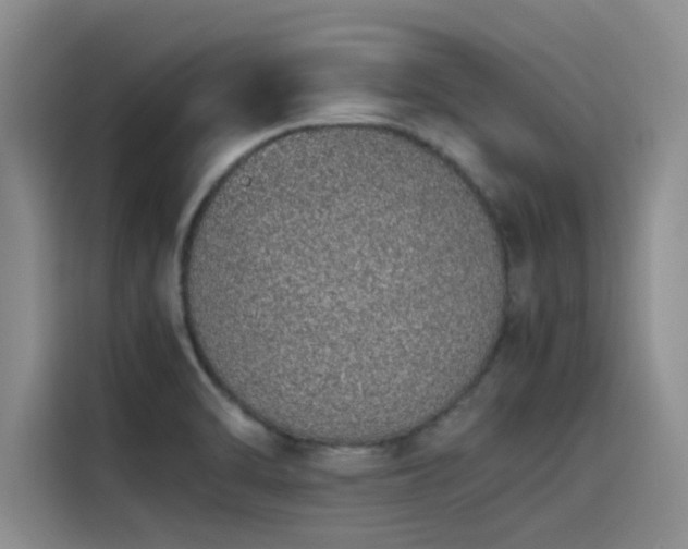 X0000115501470200911131311