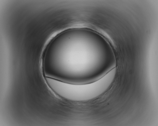 X0000115501472200911131311