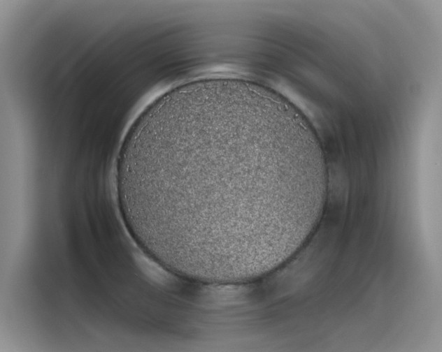 X0000115501474200911131311