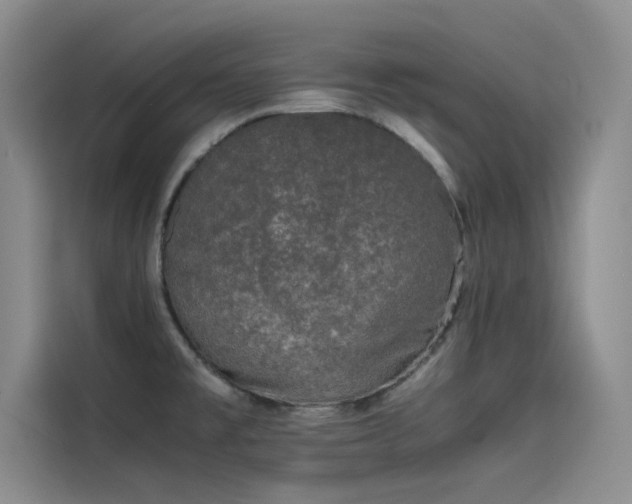 X0000115501477200911131311