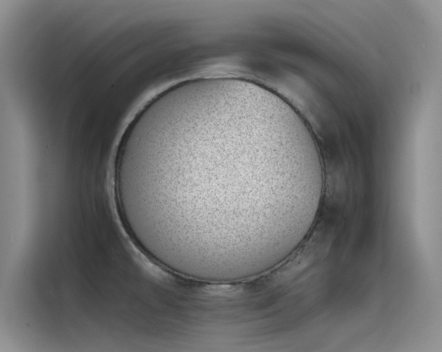 X0000115501478200911131311