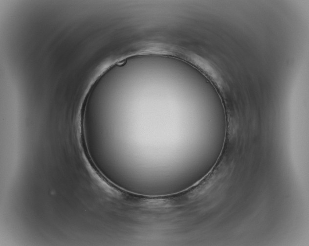 X0000115501479200911131311