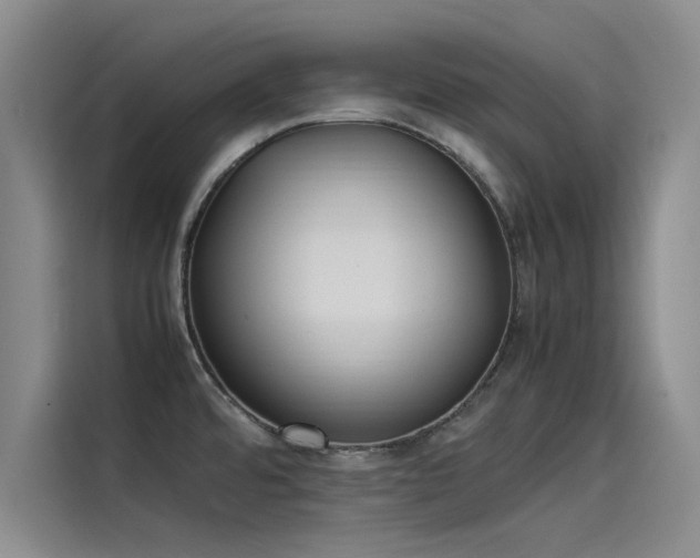 X0000115501480200911131311